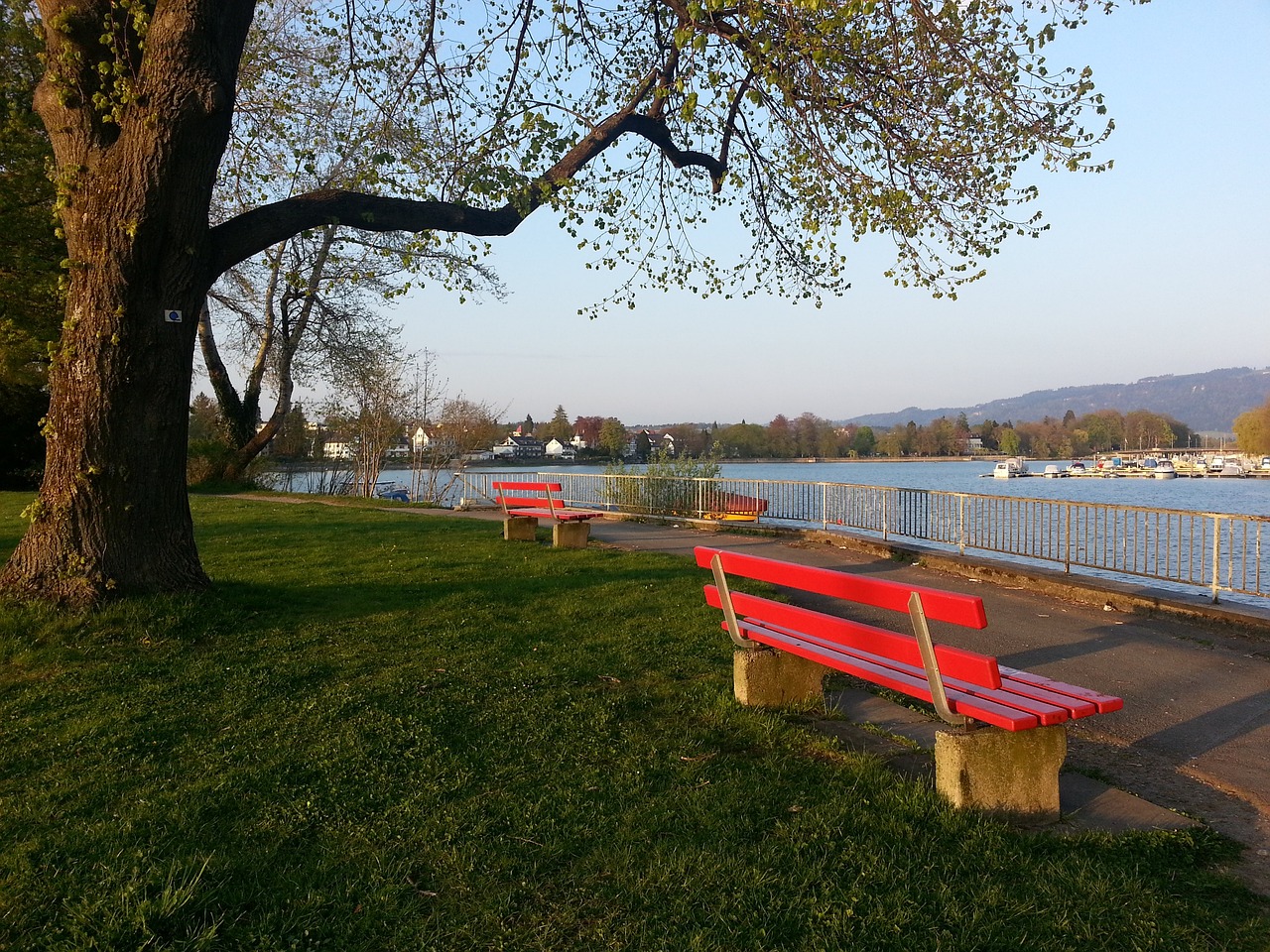 參加歐冠不 參加歐冠不