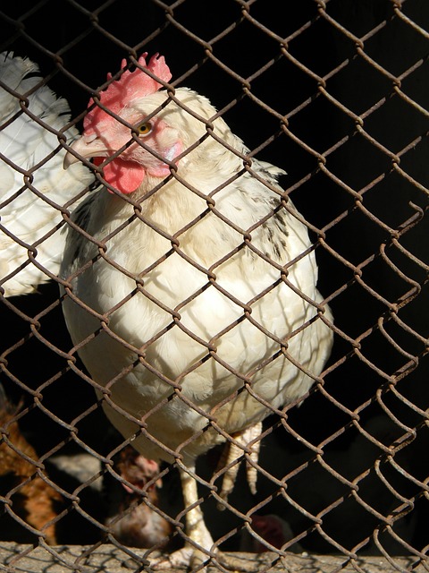 面對的是防 面對的是防