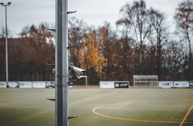 快速成長為 快速成長為