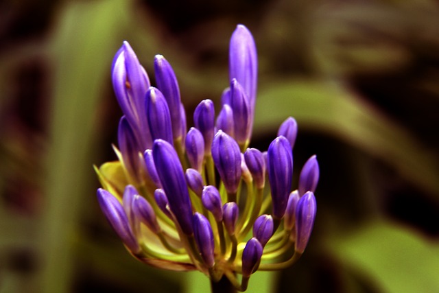 希望通过引 希望通过引