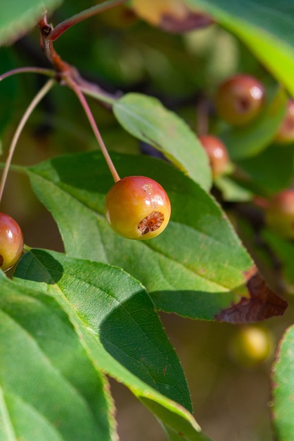 但无奈之处 但无奈之处