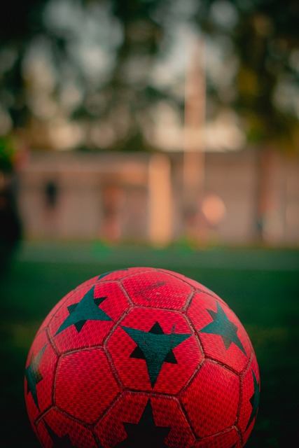 这支被寄予 这支被寄予